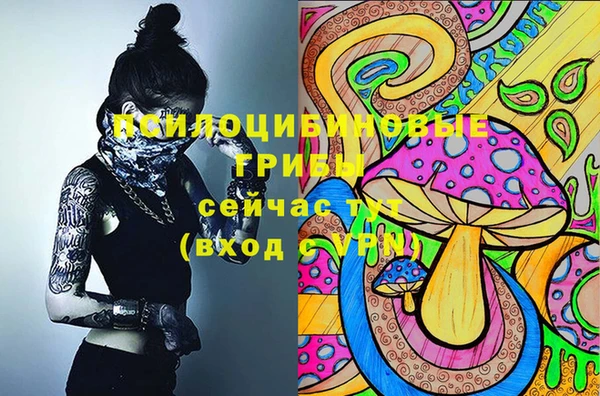 спиды Балахна