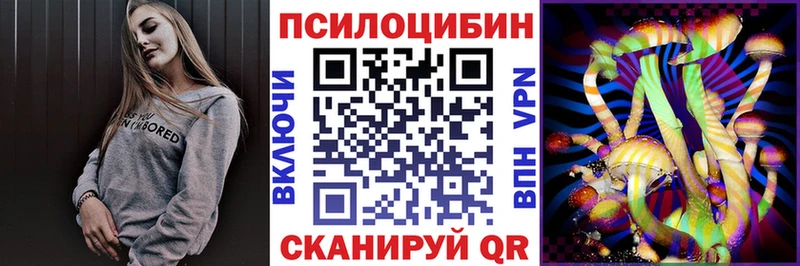 Галлюциногенные грибы Psilocybe  Ессентуки 