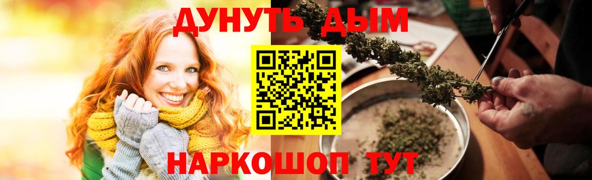 Конопля гибрид Ессентуки